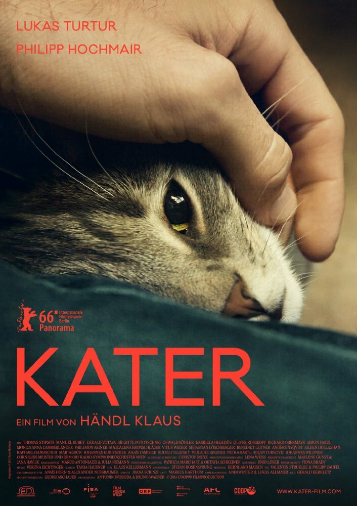 Кот (2016) постер