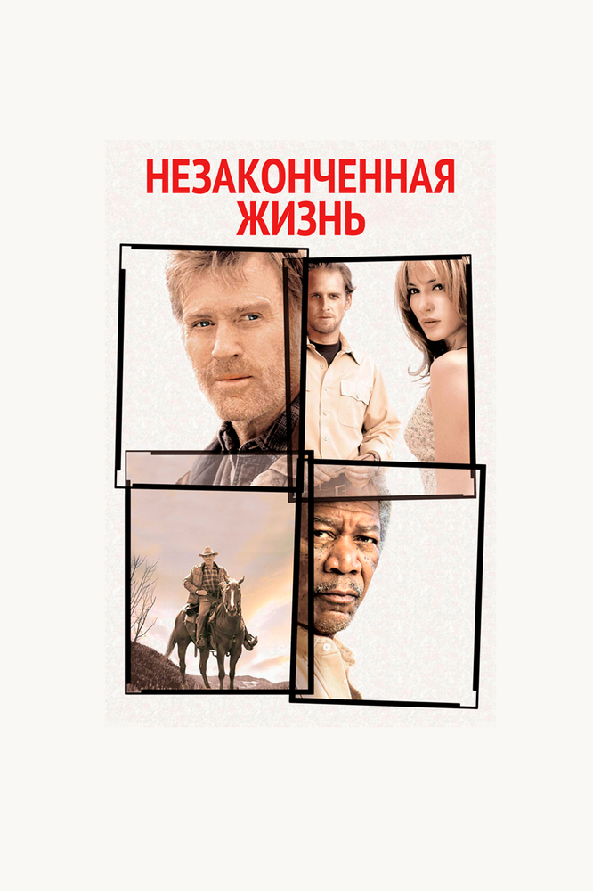 Незаконченная жизнь (2004) постер